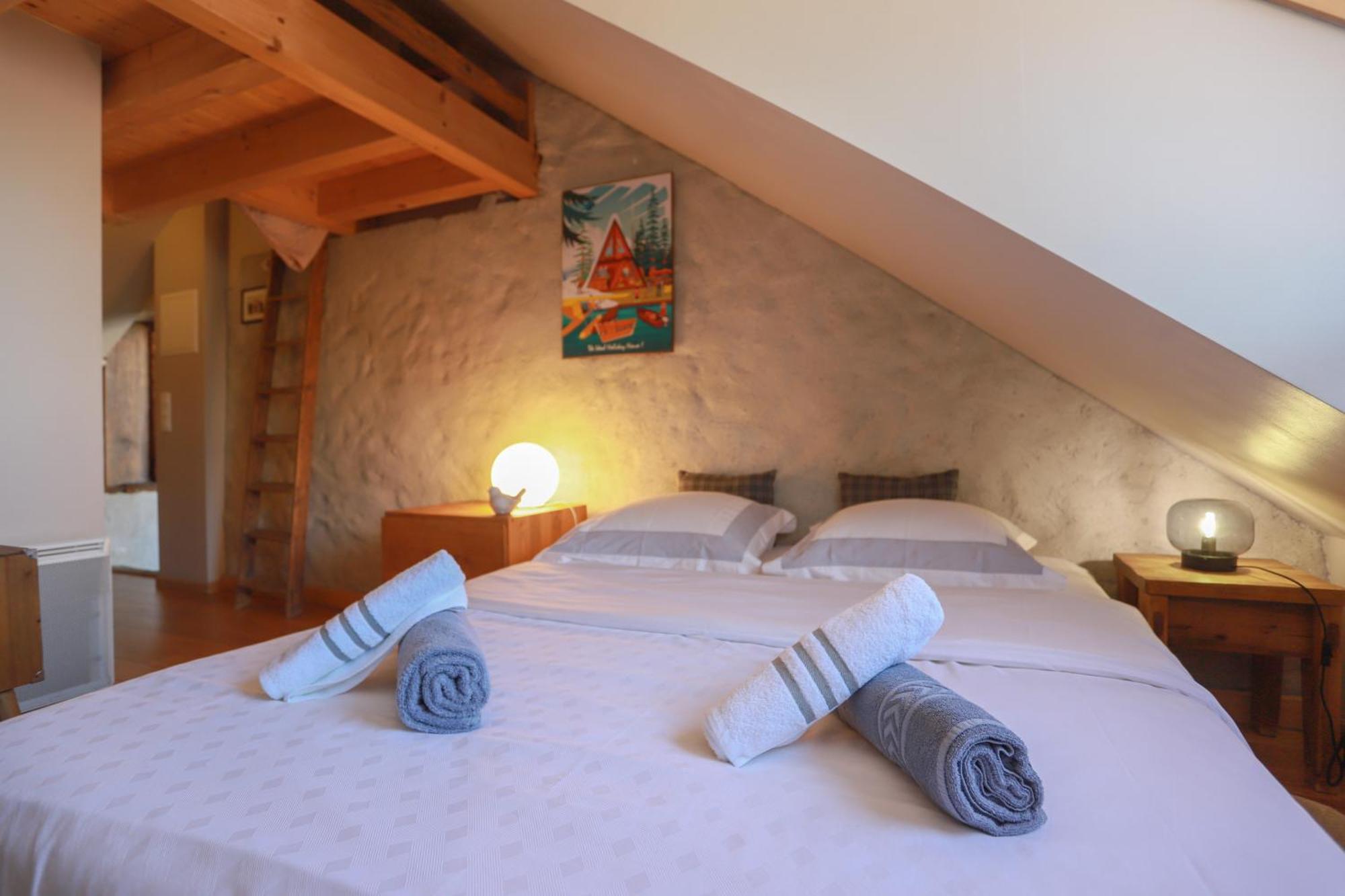 アヌシー Nid Douillet Bed & Breakfast エクステリア 写真