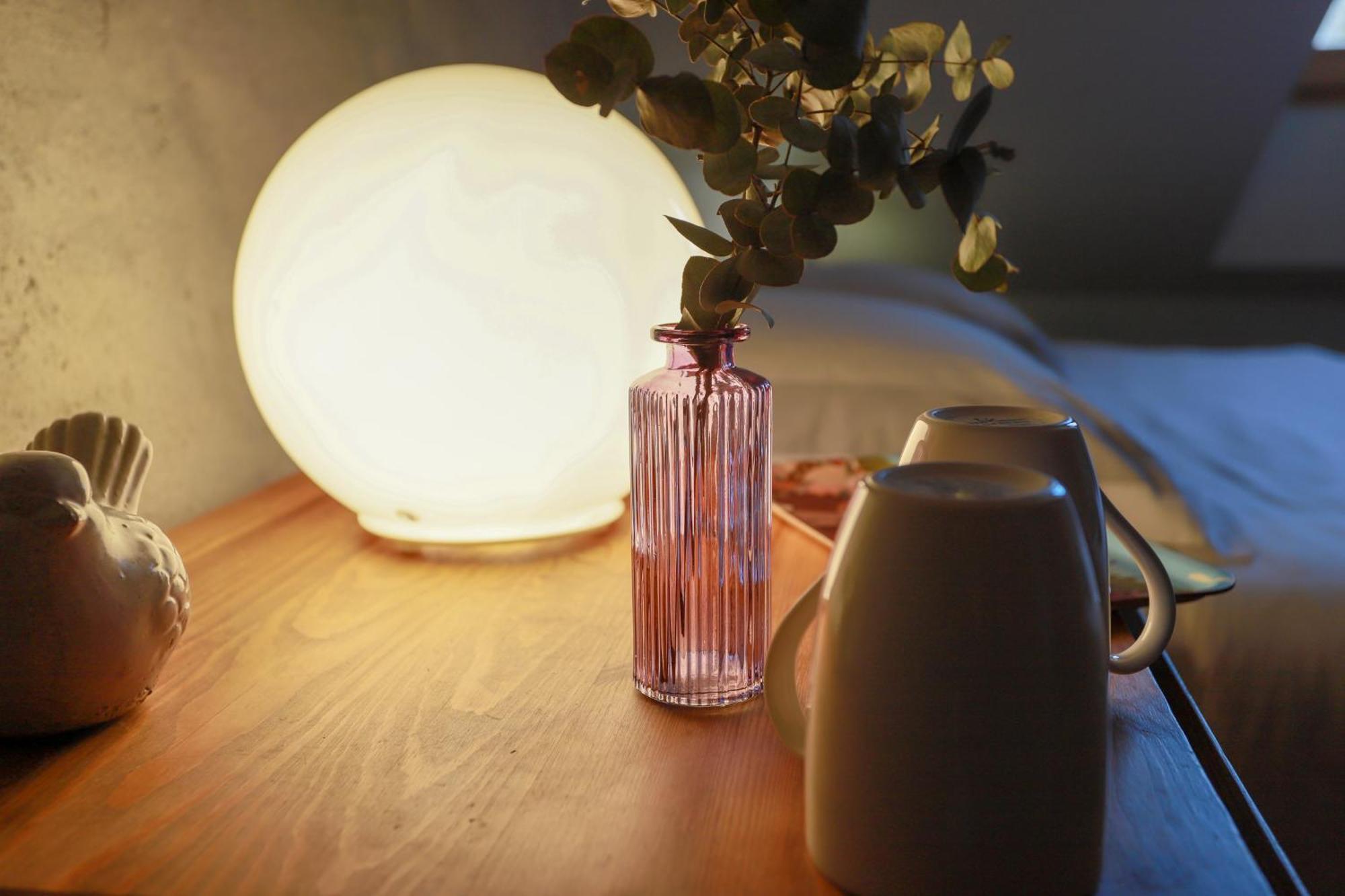 アヌシー Nid Douillet Bed & Breakfast エクステリア 写真