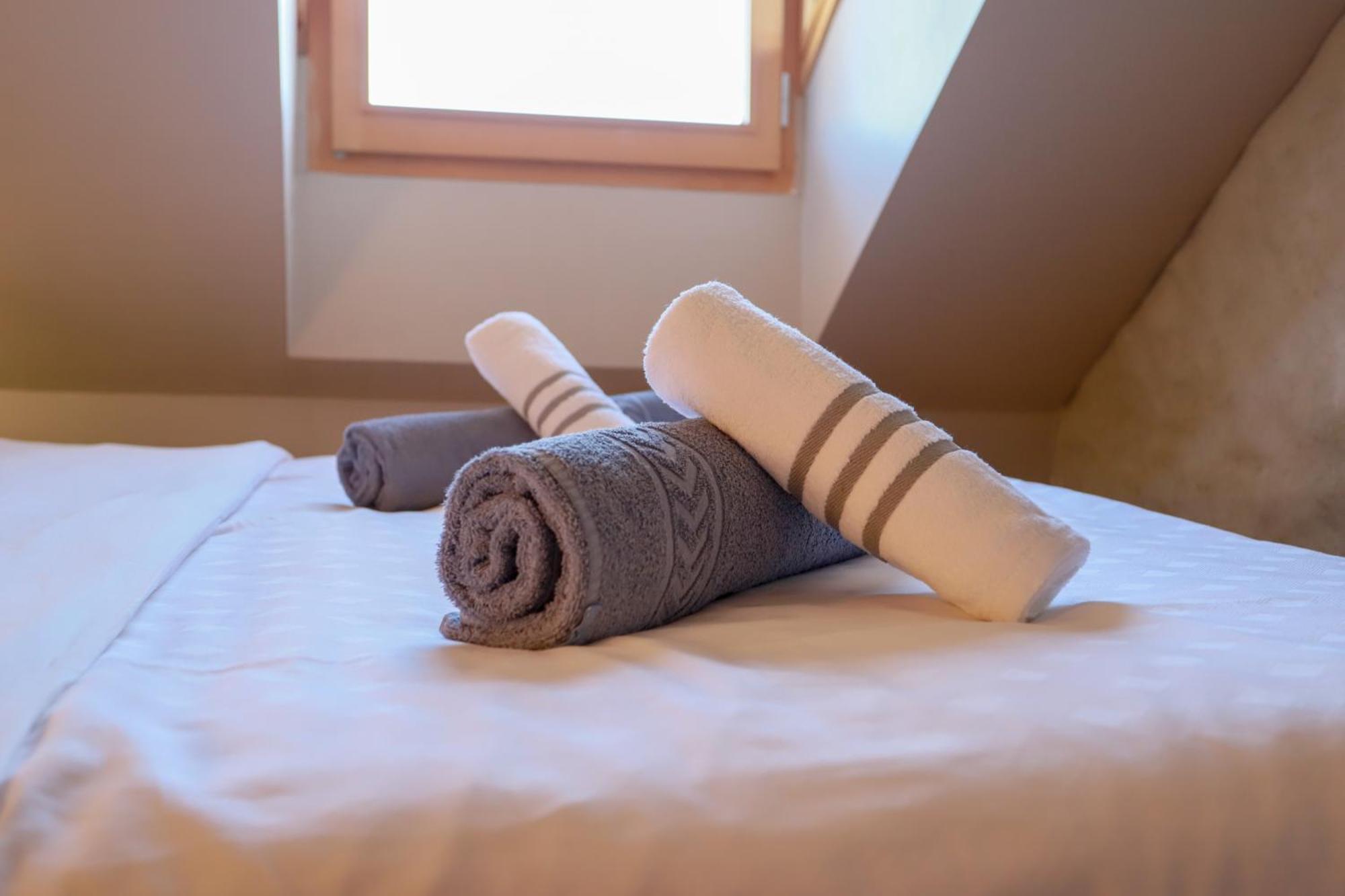 アヌシー Nid Douillet Bed & Breakfast エクステリア 写真