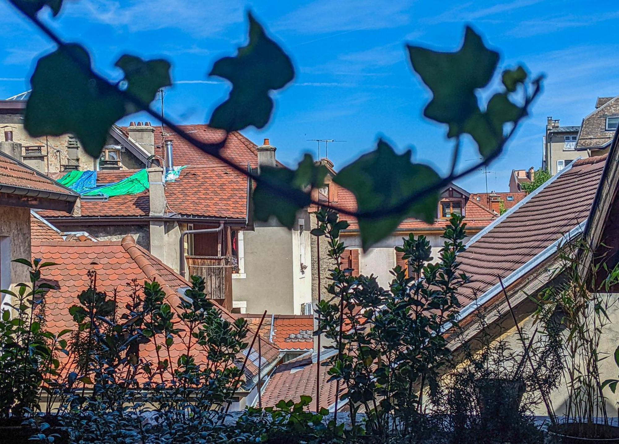 アヌシー Nid Douillet Bed & Breakfast エクステリア 写真